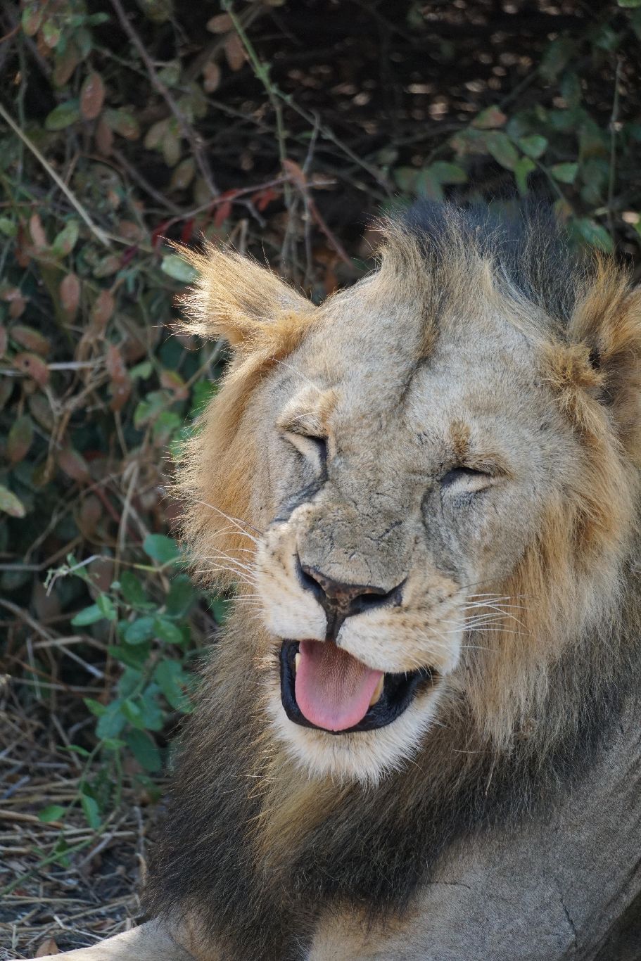 D5791aec 9d57 4aaa 8246 1514a8d2a1b5 (1) min